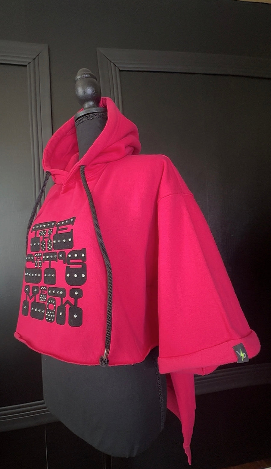 The Cat’s Meow Cropped Hoodie