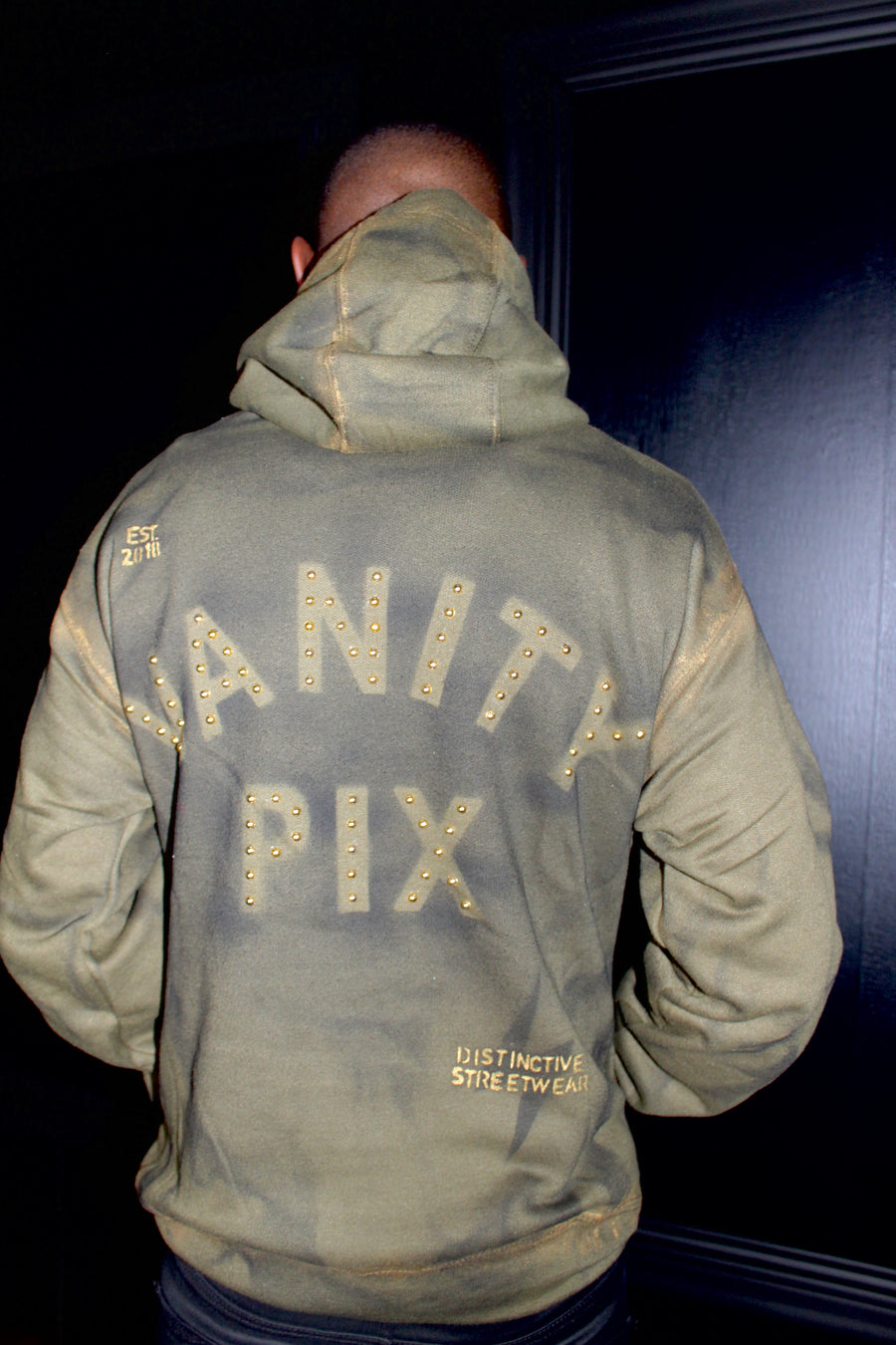 Distressed Vanity Pix Hoodie