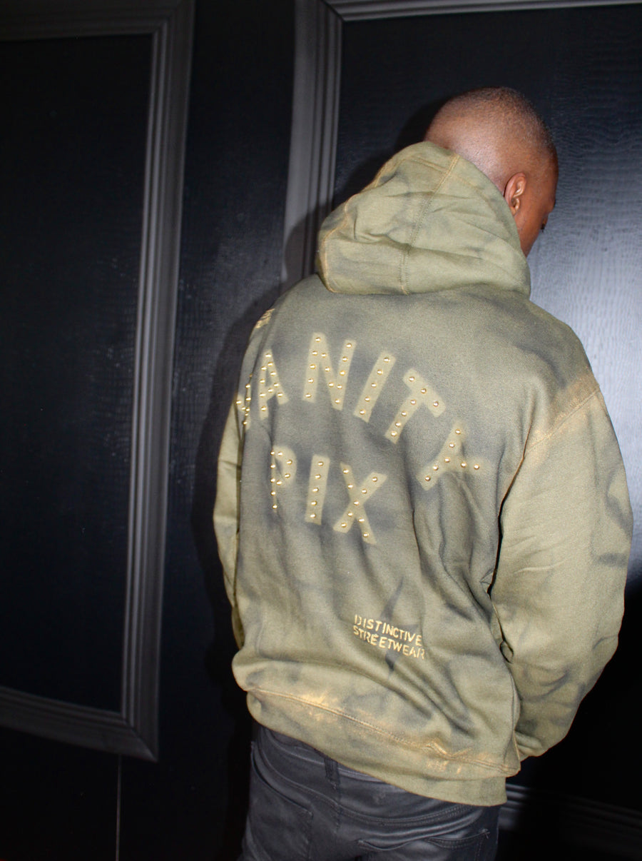 Distressed Vanity Pix Hoodie