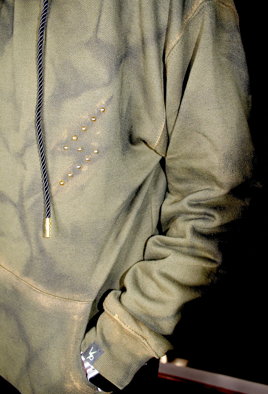 Distressed Vanity Pix Hoodie