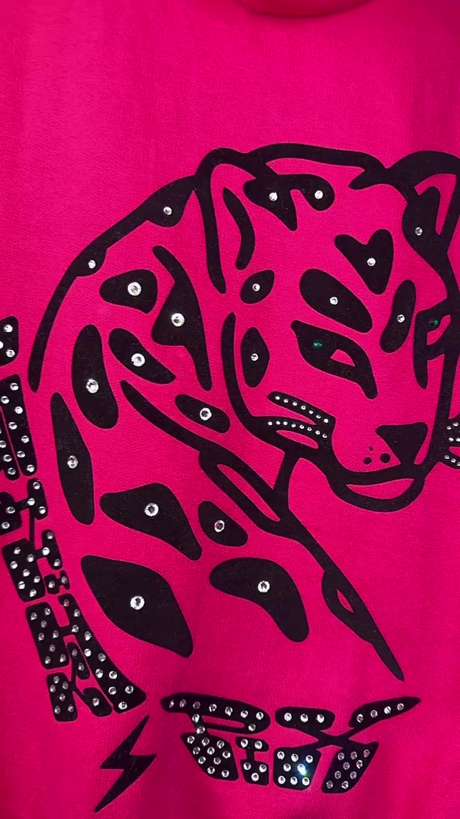 The Cat’s Meow Cropped Hoodie